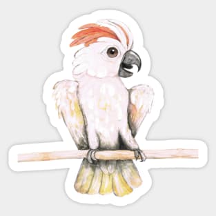 Salmon-crested cockatoo Sticker